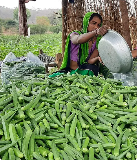 Community Lift Irrigation